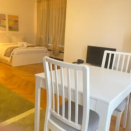 Bright & Fully Furnished Flat In Appartement Lausanne