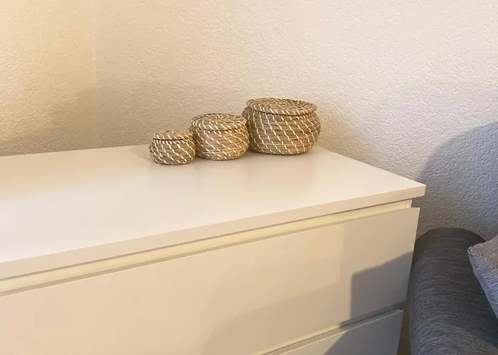 Bright & Fully Furnished Flat In Lausanne