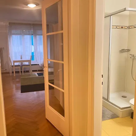 Bright & Fully Furnished Flat In * 로잔
